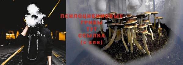 альфа пвп Нефтегорск