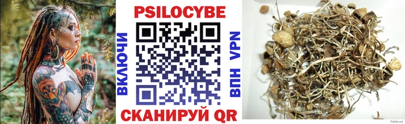 Псилоцибиновые грибы Magic Shrooms  Купить  Кочубеевское 